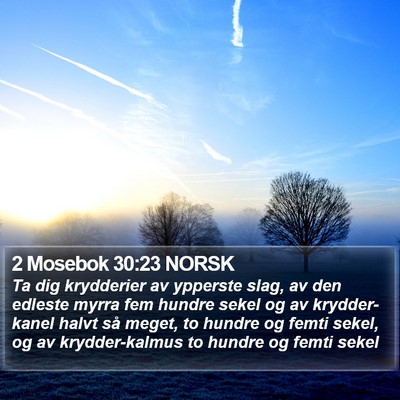 2 Mosebok 30:23 NORSK Bible Verse Image