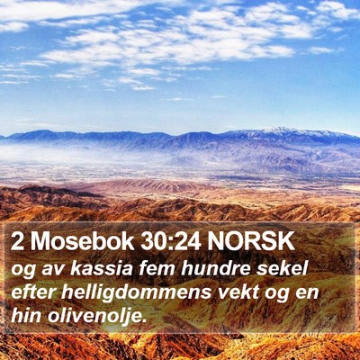 2 Mosebok 30:24 NORSK Bible Verse Image