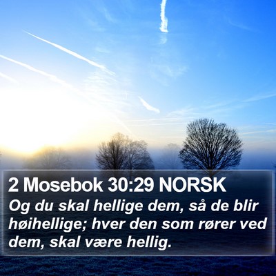 2 Mosebok 30:29 NORSK Bible Verse Image