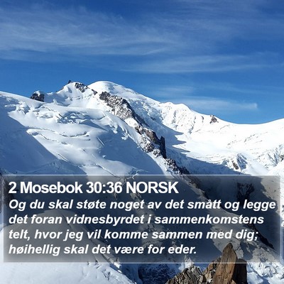 2 Mosebok 30:36 NORSK Bible Verse Image