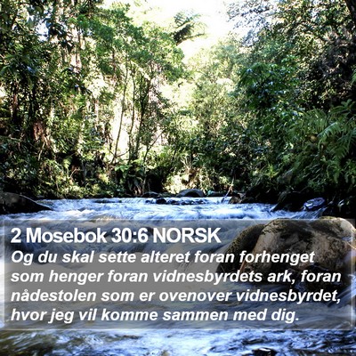 2 Mosebok 30:6 NORSK Bible Verse Image