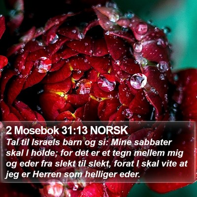 2 Mosebok 31:13 NORSK Bible Verse Image