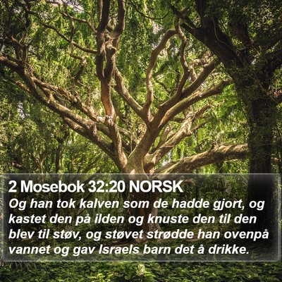 2 Mosebok 32:20 NORSK Bible Verse Image