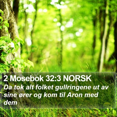 2 Mosebok 32:3 NORSK Bible Verse Image