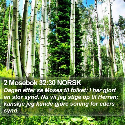 2 Mosebok 32:30 NORSK Bible Verse Image