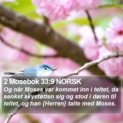 2 Mosebok 33:9 NORSK Bible Verse Image