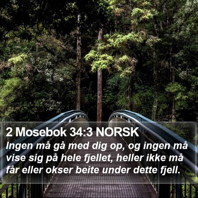 2 Mosebok 34:3 NORSK Bible Verse Image