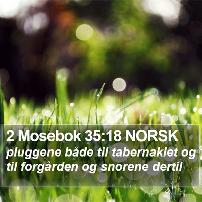 2 Mosebok 35:18 NORSK Bible Verse Image