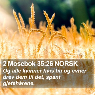 2 Mosebok 35:26 NORSK Bible Verse Image