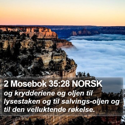 2 Mosebok 35:28 NORSK Bible Verse Image