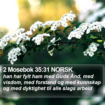 2 Mosebok 35:31 NORSK Bible Verse Image