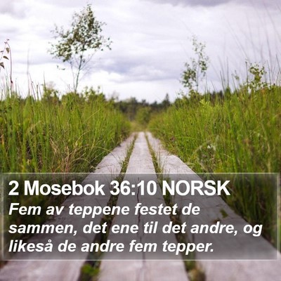 2 Mosebok 36:10 NORSK Bible Verse Image