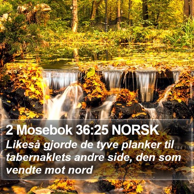 2 Mosebok 36:25 NORSK Bible Verse Image
