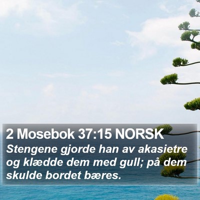 2 Mosebok 37:15 NORSK Bible Verse Image