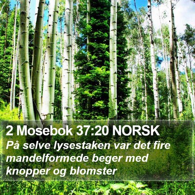 2 Mosebok 37:20 NORSK Bible Verse Image