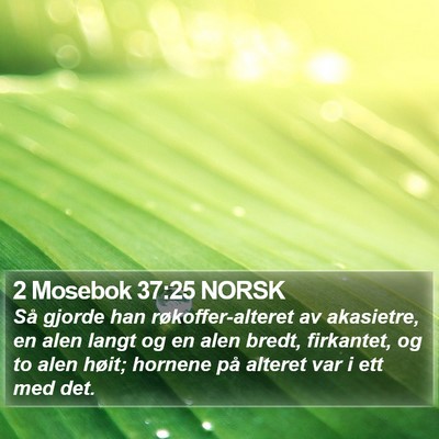 2 Mosebok 37:25 NORSK Bible Verse Image