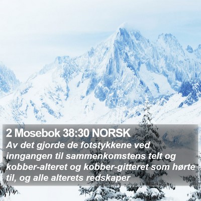 2 Mosebok 38:30 NORSK Bible Verse Image
