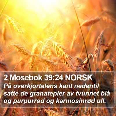 2 Mosebok 39:24 NORSK Bible Verse Image