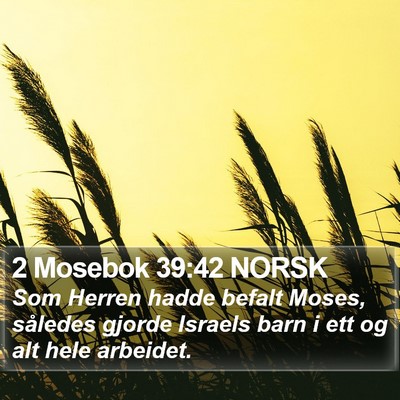 2 Mosebok 39:42 NORSK Bible Verse Image