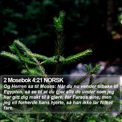 2 Mosebok 4:21 NORSK Bible Verse Image