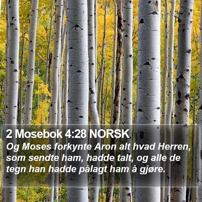 2 Mosebok 4:28 NORSK Bible Verse Image
