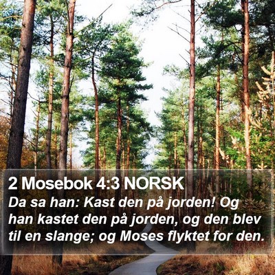 2 Mosebok 4:3 NORSK Bible Verse Image
