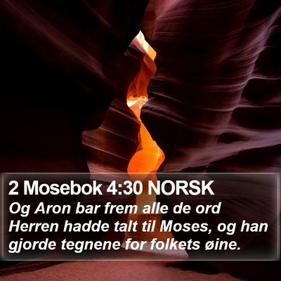 2 Mosebok 4:30 NORSK Bible Verse Image