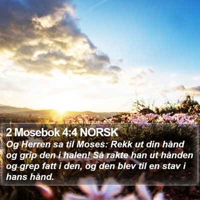 2 Mosebok 4:4 NORSK Bible Verse Image
