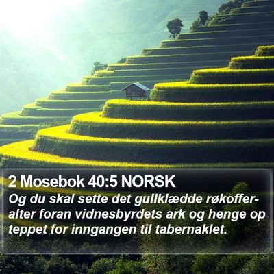 2 Mosebok 40:5 NORSK Bible Verse Image