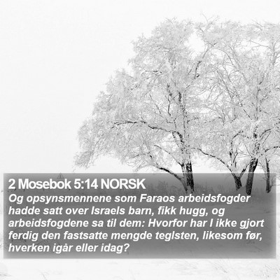 2 Mosebok 5:14 NORSK Bible Verse Image
