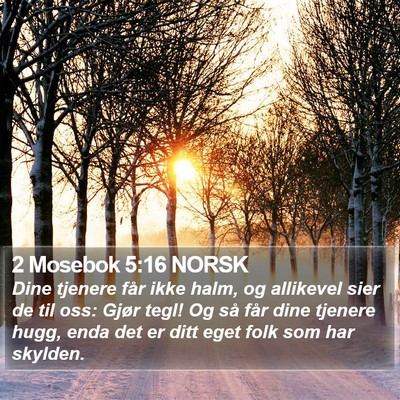 2 Mosebok 5:16 NORSK Bible Verse Image