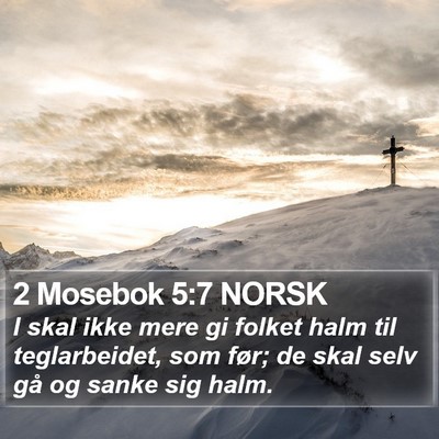 2 Mosebok 5:7 NORSK Bible Verse Image