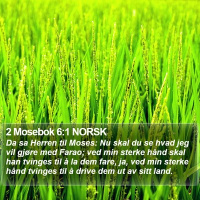 2 Mosebok 6:1 NORSK Bible Verse Image
