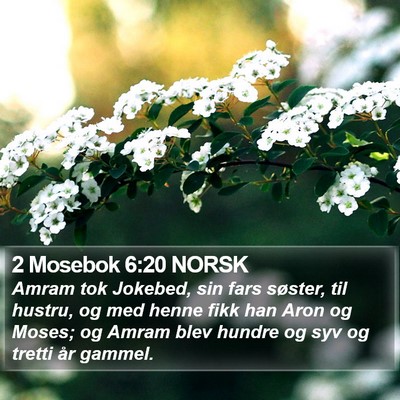 2 Mosebok 6:20 NORSK Bible Verse Image