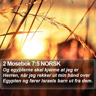 2 Mosebok 7:5 NORSK Bible Verse Image