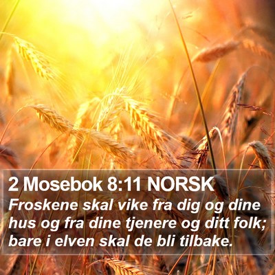 2 Mosebok 8:11 NORSK Bible Verse Image