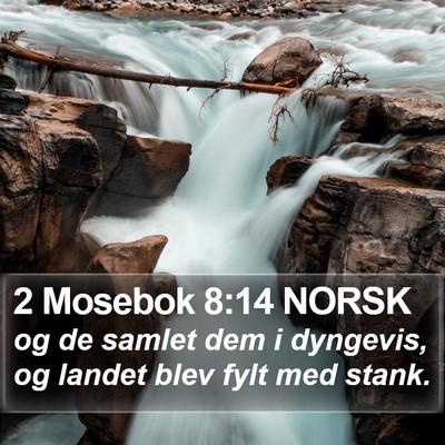 2 Mosebok 8:14 NORSK Bible Verse Image