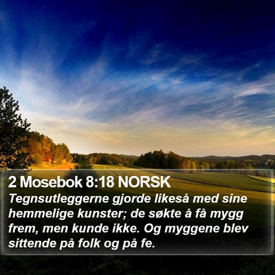 2 Mosebok 8:18 NORSK Bible Verse Image