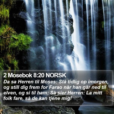 2 Mosebok 8:20 NORSK Bible Verse Image