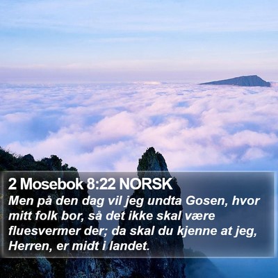 2 Mosebok 8:22 NORSK Bible Verse Image