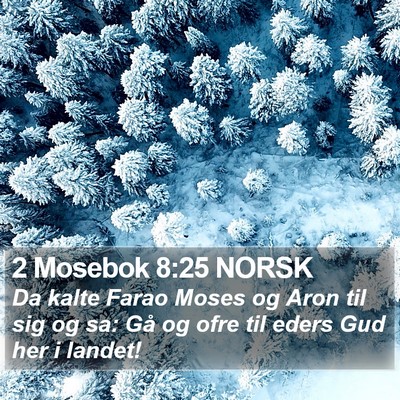 2 Mosebok 8:25 NORSK Bible Verse Image
