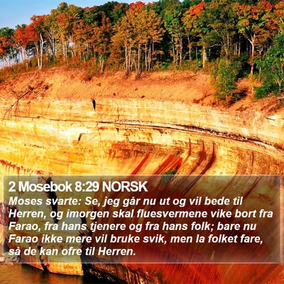 2 Mosebok 8:29 NORSK Bible Verse Image