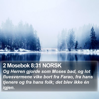 2 Mosebok 8:31 NORSK Bible Verse Image