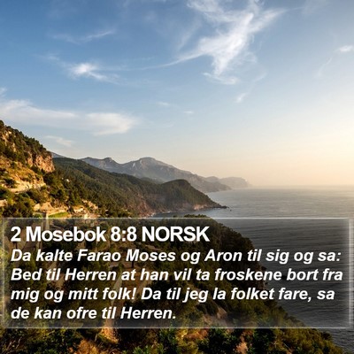 2 Mosebok 8:8 NORSK Bible Verse Image