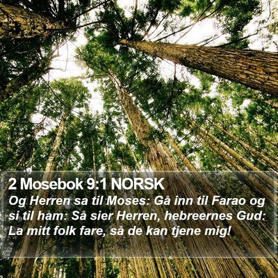 2 Mosebok 9:1 NORSK Bible Verse Image