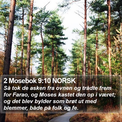 2 Mosebok 9:10 NORSK Bible Verse Image