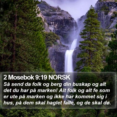 2 Mosebok 9:19 NORSK Bible Verse Image
