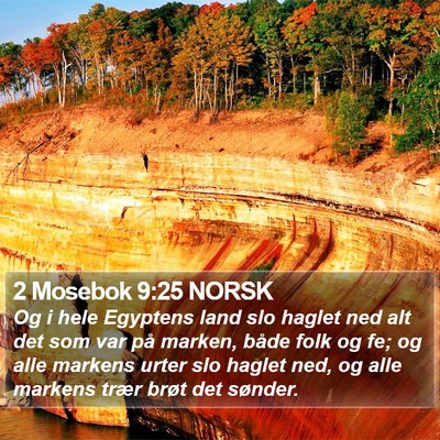 2 Mosebok 9:25 NORSK Bible Verse Image