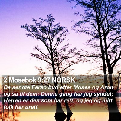 2 Mosebok 9:27 NORSK Bible Verse Image