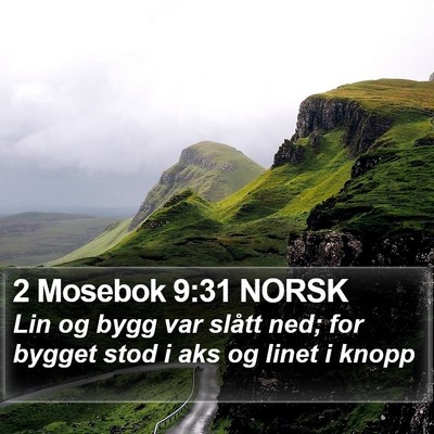 2 Mosebok 9:31 NORSK Bible Verse Image